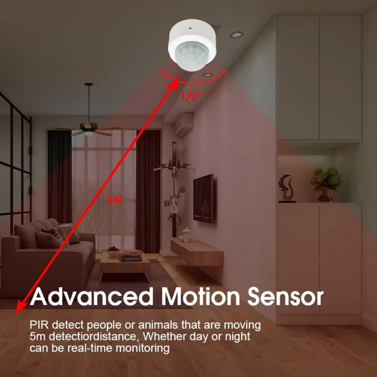 Zigbee3.0 Mini PIR Human Motio - Pir Motion Sensor recension och pris
